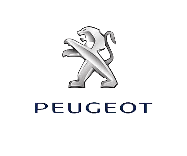 Peugeot Steps