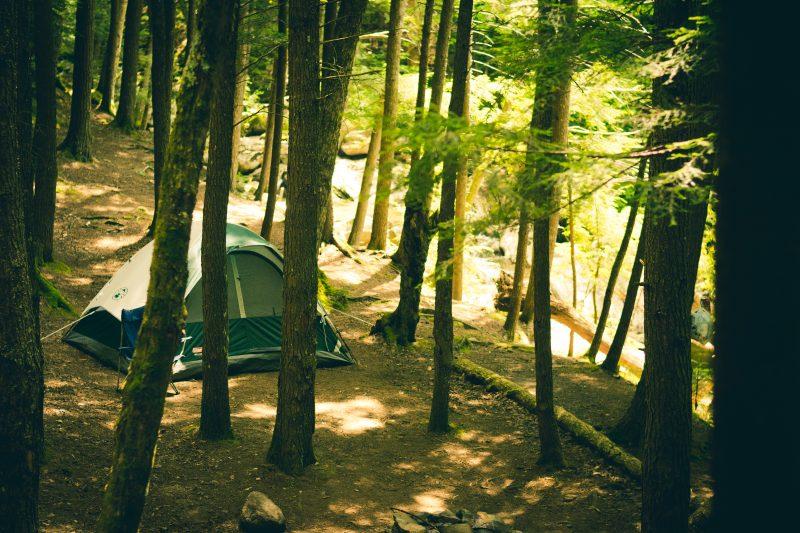 Family Camping Trip: The Ultimate Checklist