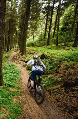Cycle Routes -Dalby Forest Trail